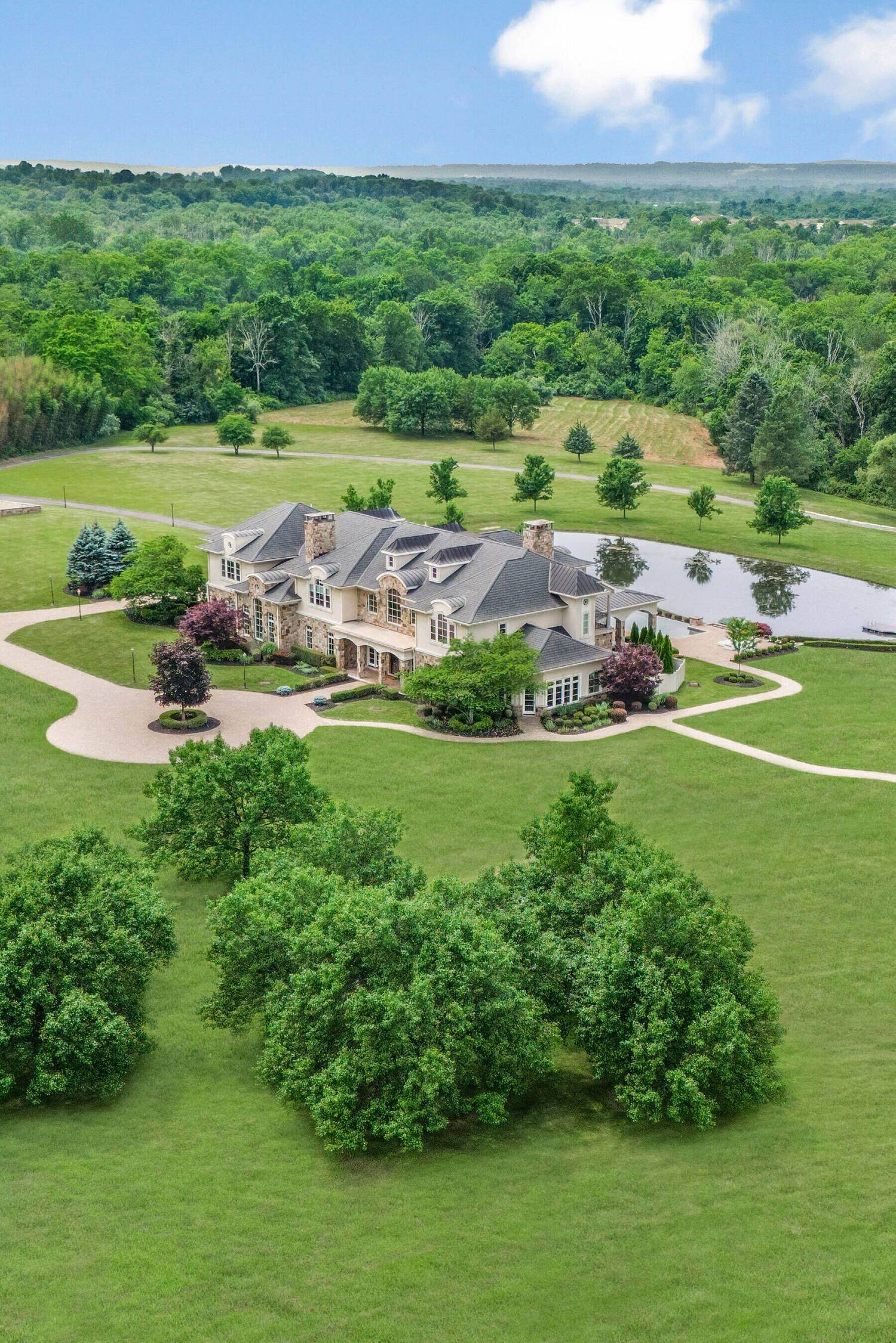 1315 Canal Road, Princeton, NJ — aerial view of The Princeton Preserve and its wooded acreage